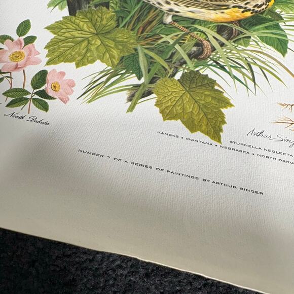 Arthur Singer Portfolio of Bird Prints Complete Set (8) - Vintage Botanical Art - Picture 9 of 16